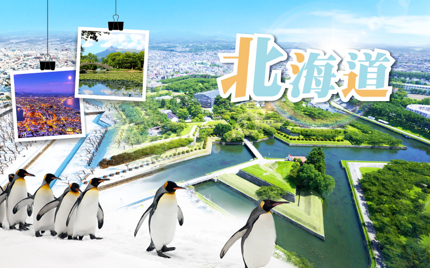 特惠促銷北海道5日